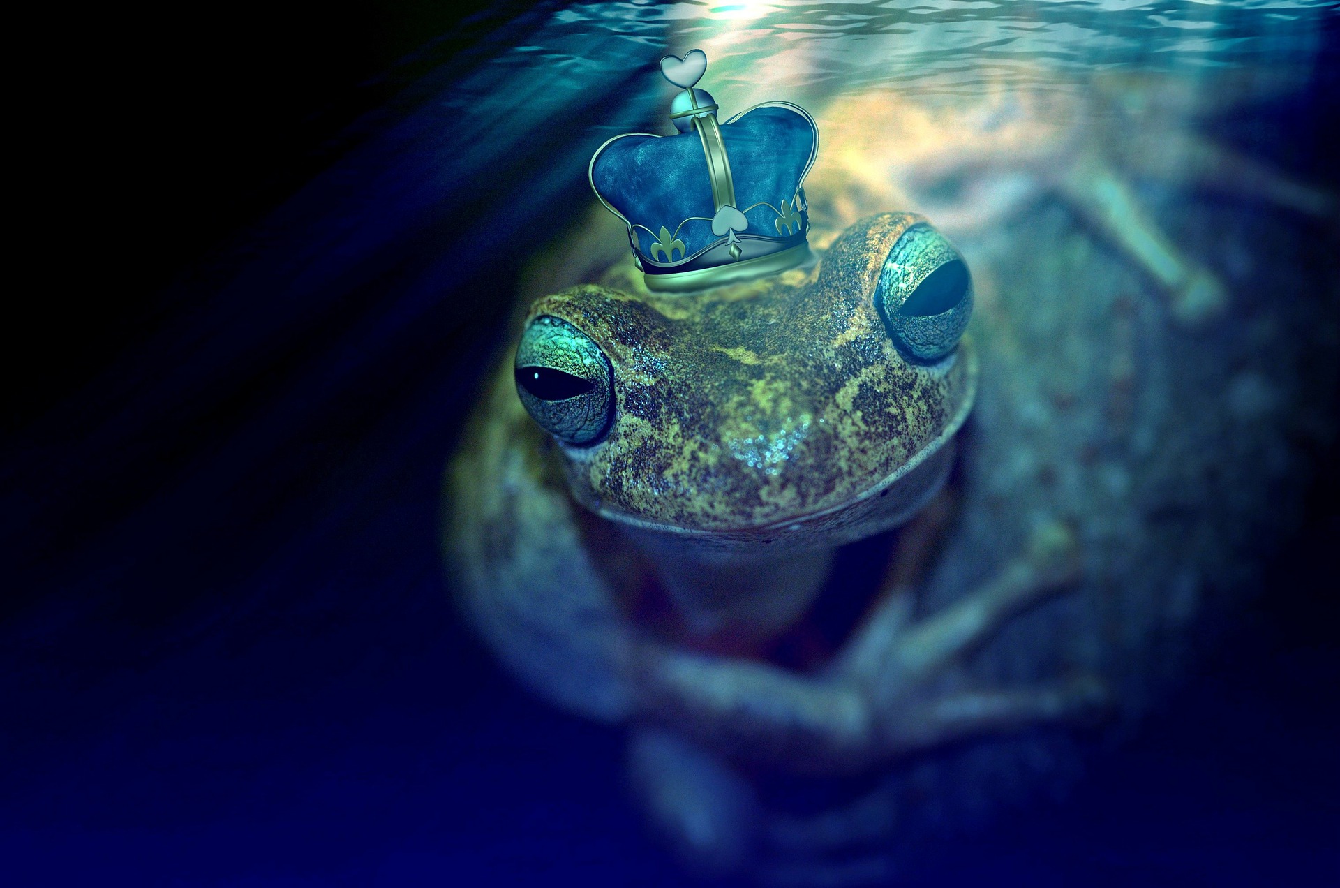 Frosch, der aus Wasser schaut. Hat eine Krone auf den Kopf gezeichnet bekommen.