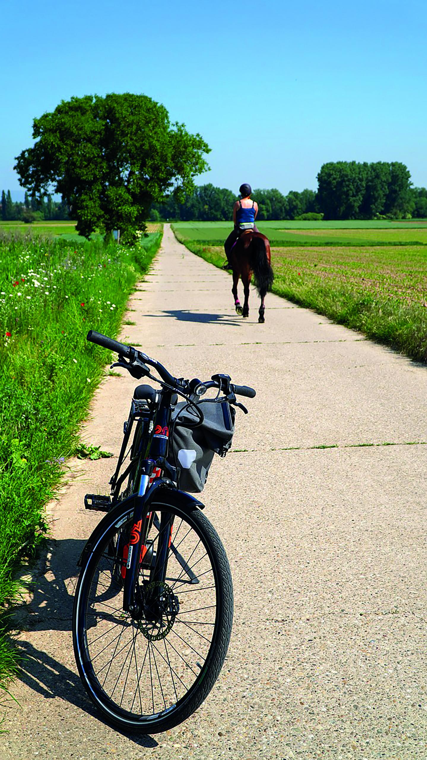 Ein Fahrrad steht auf dem Feldweg. Im Hintergrund ist eine Reiterin zu sehen.
