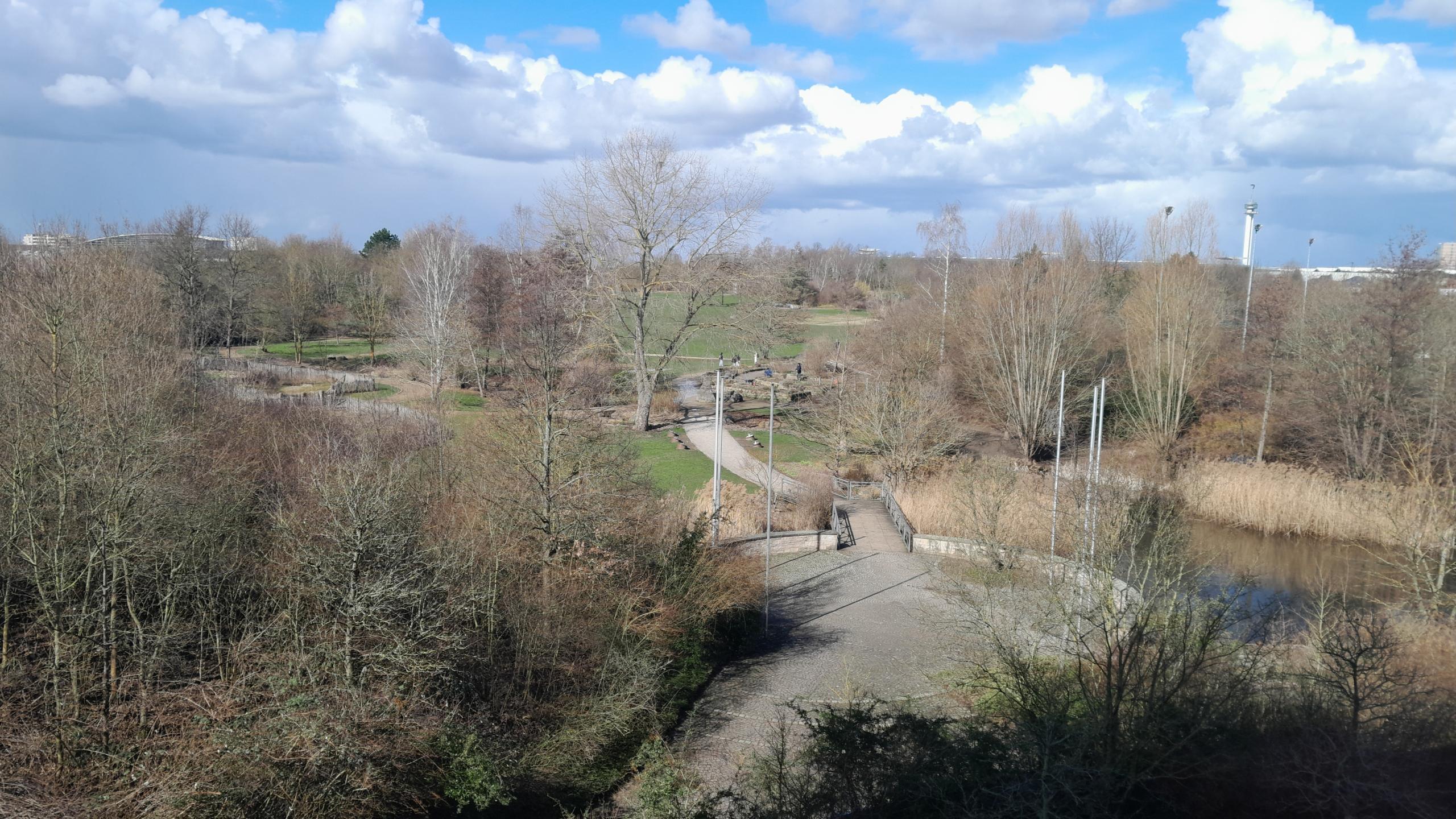 Luftbildaufnahme eines Parks mit Teich