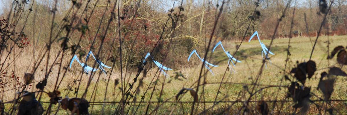 Blaue Vogelskulpturen auf einer Wiese