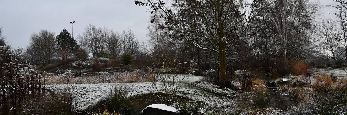 Im Voprdergrund schneebedeckter RAsen mit Gräsern und Bäumen im Hinetrgrund