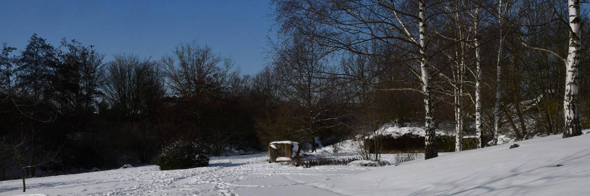 Verschneiter Weg, an der rechten Seite befindet sich mehrere Birken auf einem Hügel.