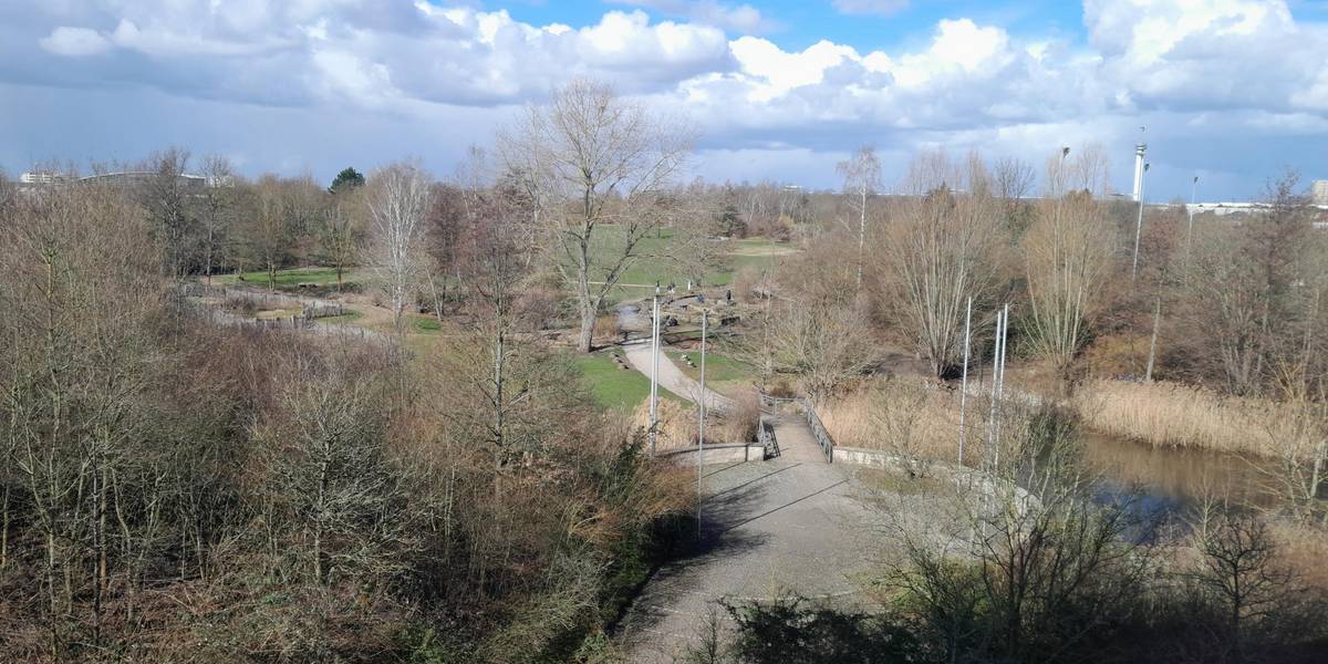 Luftbildaufnahme eines Parks mit Teich