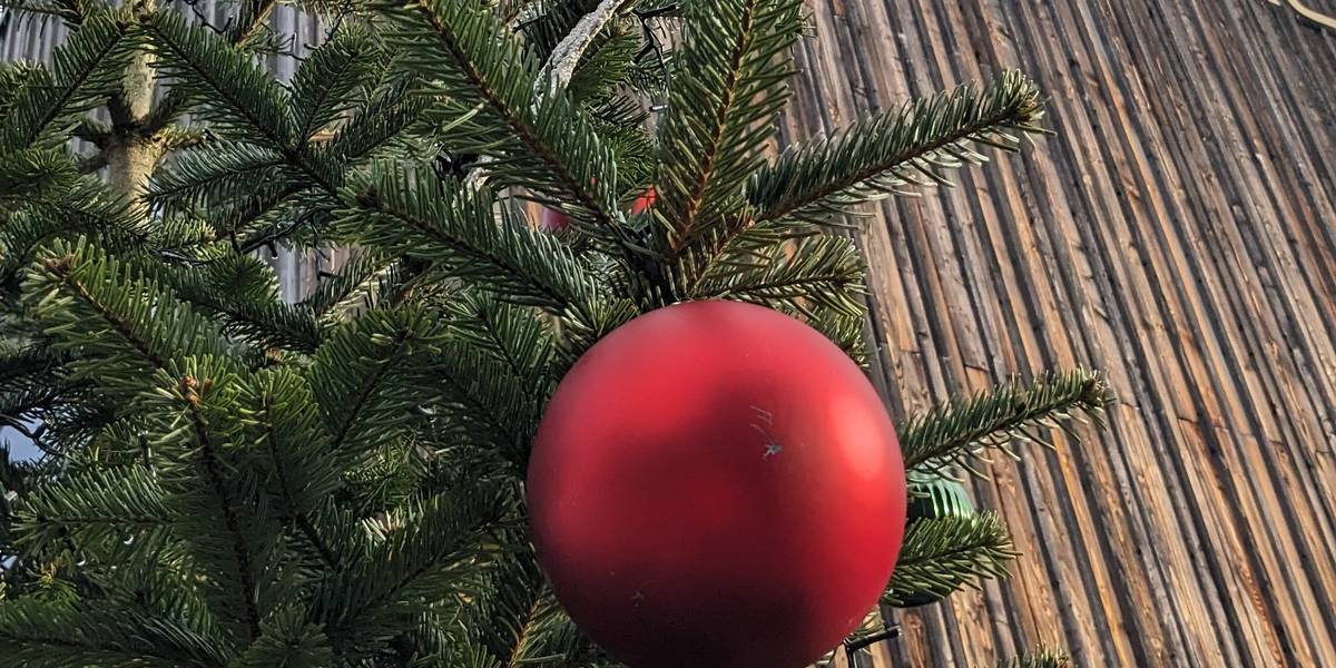 Tannenzweig vor der Holzfassade des Stadthauses. Im Vordergrund befindet sich eine rote Weihnachtskugel.