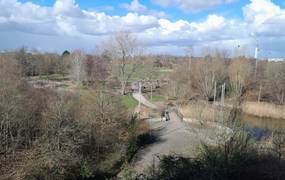 Luftbildaufnahme eines Parks mit Teich