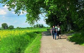 Der Bürgermeister und Bürgerinnen und Bürger wandern über einen Feldweg