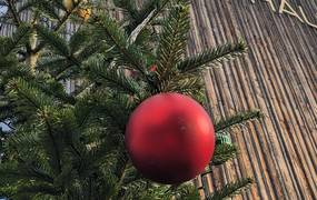 Tannenzweig vor der Holzfassade des Stadthauses. Im Vordergrund befindet sich eine rote Weihnachtskugel.