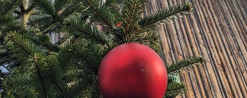 Tannenzweig vor der Holzfassade des Stadthauses. Im Vordergrund befindet sich eine rote Weihnachtskugel.